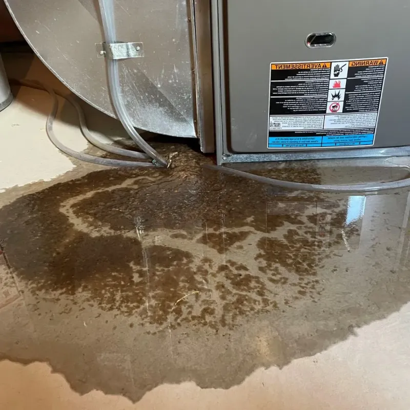 Pipe Burst and Leak Restoration in Sawyerwood, OH