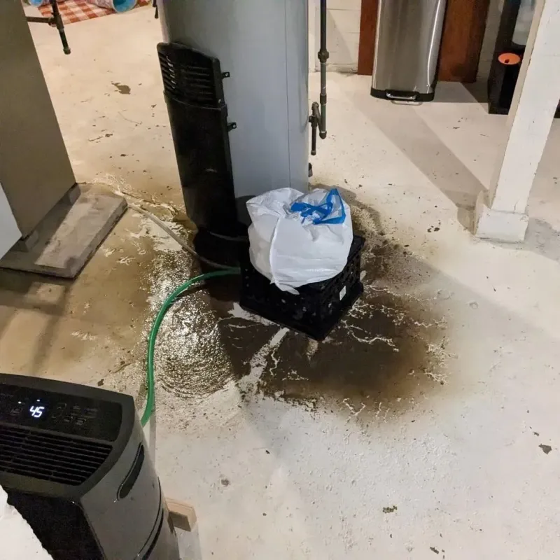 Sewage Backup Cleanup Service in Sawyerwood, OH